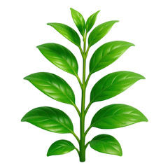 Green Leaves Plant Isolated Growth isolated on transparent background