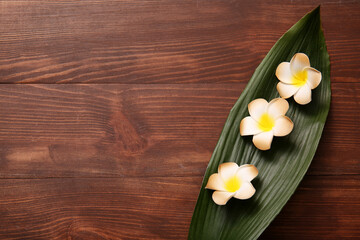 Beautiful plumeria flowers with tropical leaf on brown wooden background, closeup