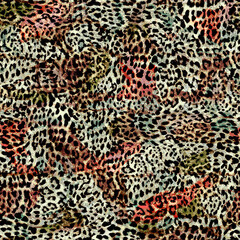 abstract animal print pattern with color