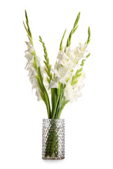 Vase with gorgeous gladiolus flowers isolated on white background, closeup