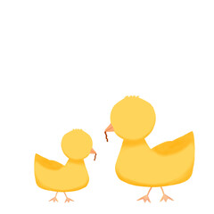 two yellow chicks