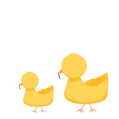 two yellow ducks