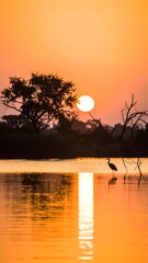 Fototapeta premium Sunrise over a tranquil river, silhouetted trees and bird