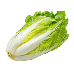 Fresh, crisp, head of bok choy