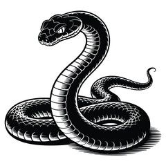 Fototapeta premium black and white snake