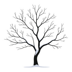 Obraz premium Bare tree silhouette autumn or winter nature seasons organic branching structure