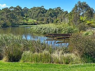Sydney Park in Alexandria. Pond with trees. Also a series of elevated terracotta channels that reflect the site’s history and aerate and distribute water throughout the wetland system. 