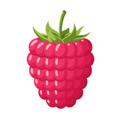 Vibrant Pink Raspberry Fruit Illustration Isolated on White Background