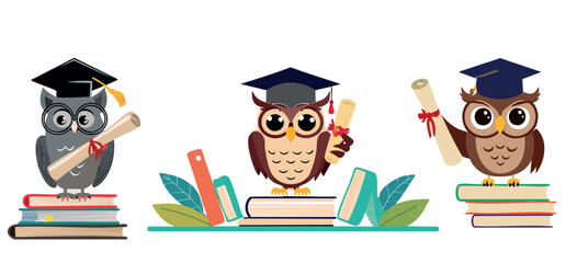 owl teacher and books