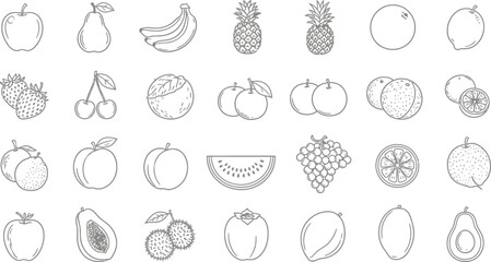 Vector outline drawing of various fruits healthy eating and nutrition design