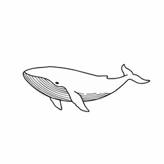 Obraz premium Simple Black and White Illustration of a Humpback Whale