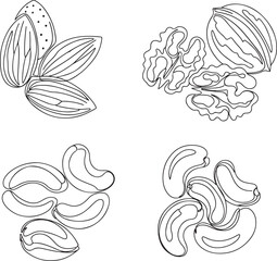 Continuous Line Art Illustration of Assorted Nuts in Minimalist Linear Style