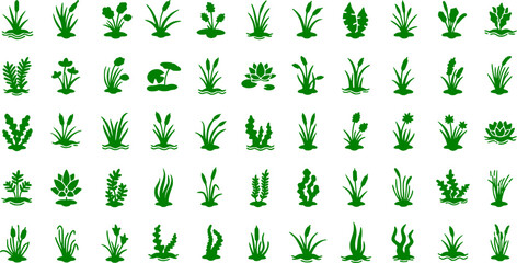 Fototapeta premium Aquatic plants flat icon set. water plants, leaves, and nature icons collection 