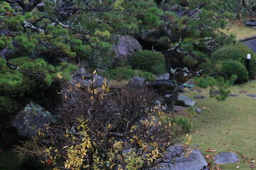 Japanese garden