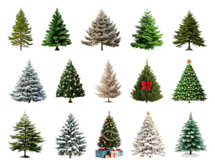 PNG Diverse festive Christmas tree collection, element set on transparent background