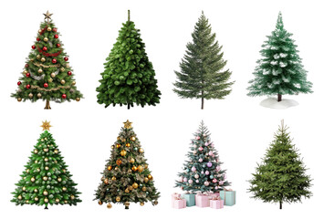 PNG Variety of decorated Christmas trees, element set on transparent background
