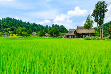 荻ノ島環状集落　かやぶきの里