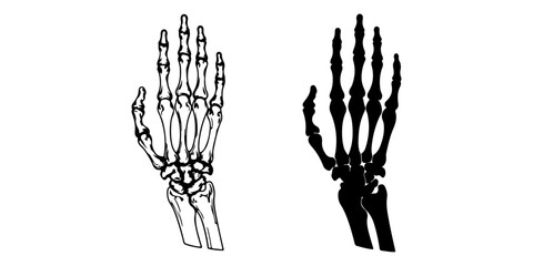 Human Hand Bones Vector Illustration (Outline and Silhouette)