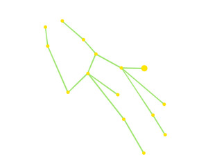 乙女座の星座線のカラーイラスト