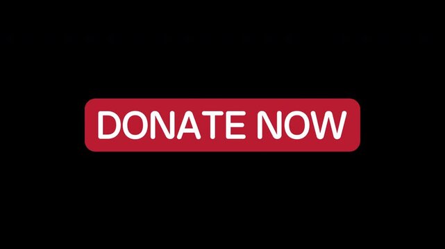 Donate now Button Click Animation