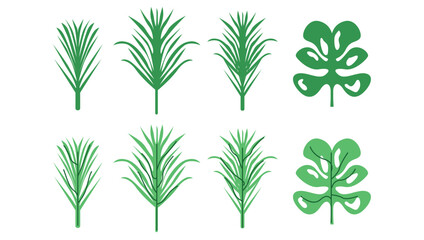 tropical palm leaf retro