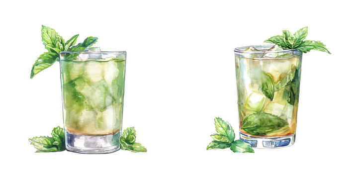 mint julep watercolor vector illustration