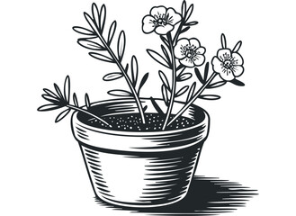 Potted plant with delicate flowers and leaves in a simple clay pot. Vector hand drawn illustration