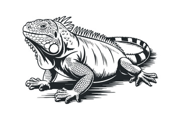 Obraz premium Detailed Ink Drawing of an Iguana on Transparent. Vector hand drawn illustration