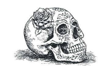 Detailed line art skull with rose and floral adornment on transparent background. Vector hand drawn illustration