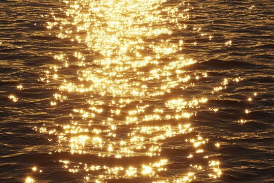 Golden sunlight sparkles on rippled water surface