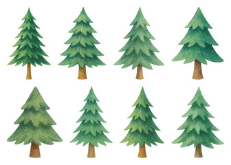 Obraz premium PNG Watercolor evergreen tree illustrations, element set on transparent background