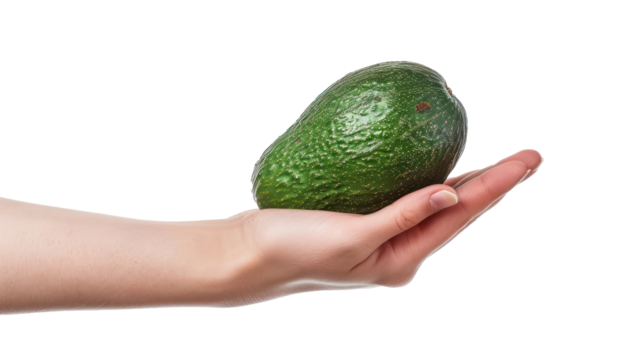 hand holding Avocado, clipping path isolate on transparency background