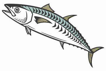 mackerel fish on a white background