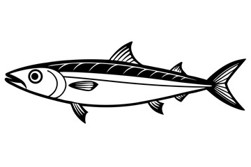 fish on white background