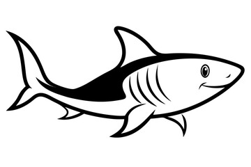 shark vector illustration