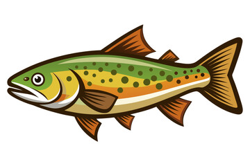 Trout fish on a white background