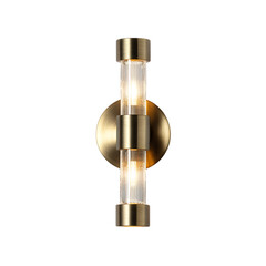 Stylish LED Wall Sconce For Homes. png