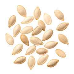 Scattered Light Brown Pumpkin Seeds on a Black Background squash gourd