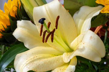 Detailed, macro photograph of flowers