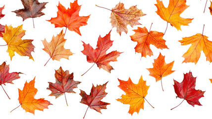 Fototapeta premium Beautiful autumn leaves pattern displayed against a simple background for design projects