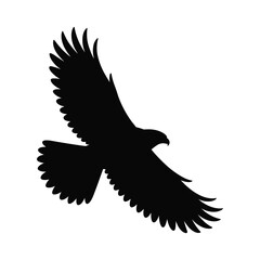 Abstract geometric design with vibrant color palette and helvetica courier typography