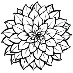 Black and white floral mandala pattern symmetrical