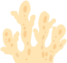 Sea Anemone Illustration