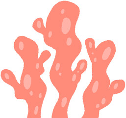 Sea Anemone Illustration