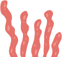 Sea Anemone Illustration