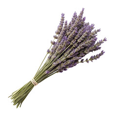 Tied Bunch of Dried Lavender Stems with Purple Flowers on Black Background graphic design
