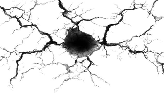 Microscopic neuron, intricate network