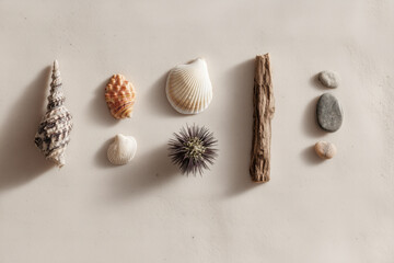 Seashells And Driftwood On Light Beige Sand