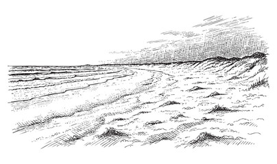Beach Landscape with Sand Dunes Hand-Drawn Sketch
