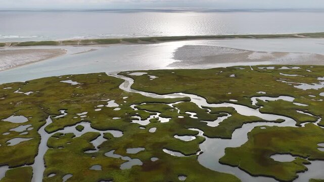 Sinuous channels meander through a scenic salt marsh on Cape Cod, Massachusetts. Salt marshes act as natural carbon sinks, are sheltered nurseries for wildlife, and buffer against storms and waves.